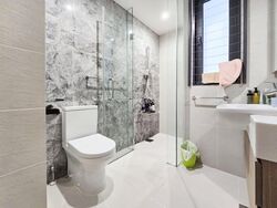 The Lakefront Residences (D22), Condominium #560354631